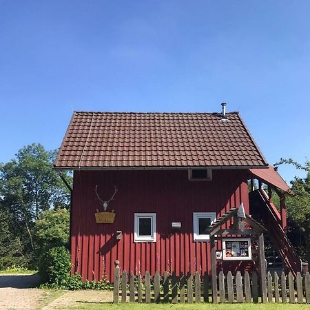 Fischer Huette Sankt Andreasberg Zewnętrze zdjęcie